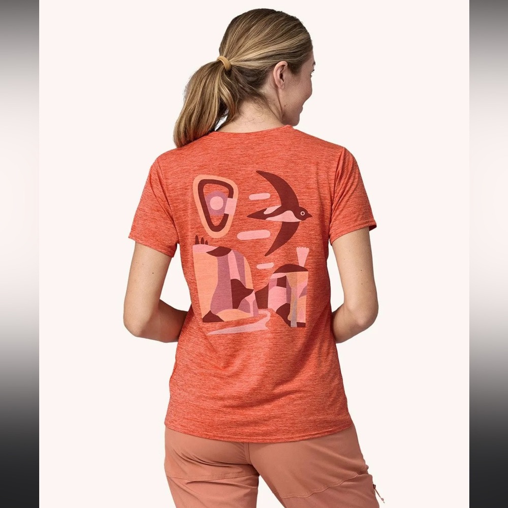 Patagonia Capilene Cool Daily Graphic Tee Granite Swift Women’s Small